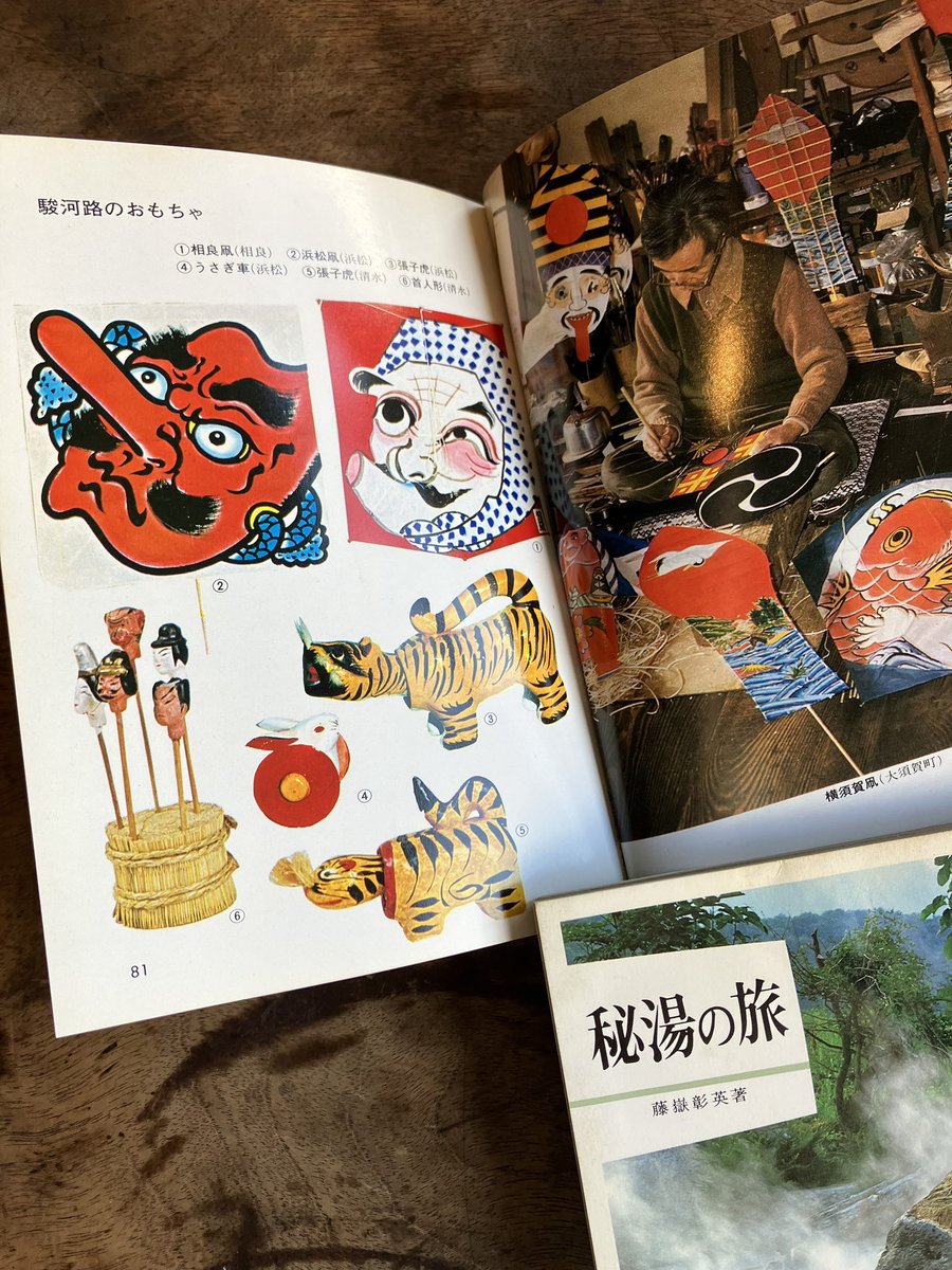 先日買った古本たち

#カラーブックス 
郷土玩具の旅東日本編の
静岡のページを読んでいたら
こんなにもあるのか？あったのか？
と驚く。
ほとんど見たことない。

この本が出た約50年前
改めていろんな物が失われているんだなと実感する。