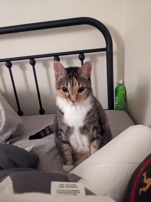 why does she look so fucking mad all the time. lighten up ! https://t.co/3ZAPRaWLXc