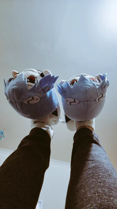 New slippers 