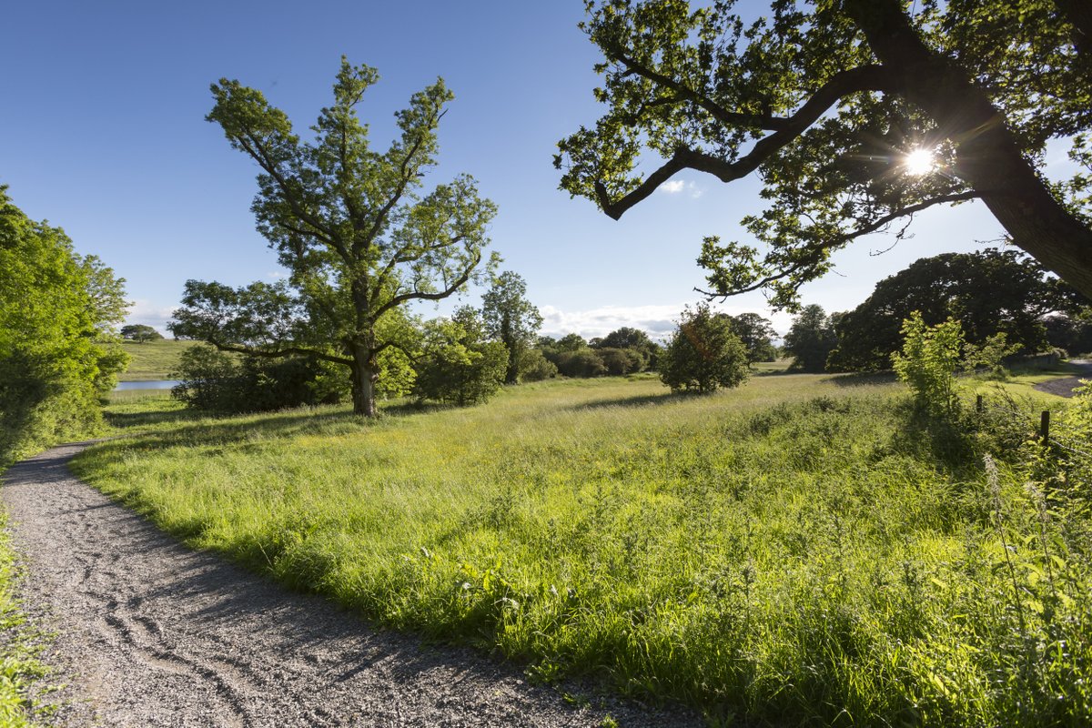 No matter how you like to spend it, there’s so much to do this #BankHolidayWeekend at the places in our care.

Don't miss the chance to soak up the last of the season, check out our website to find out more and plan your bank holiday visit at nationaltrust.org.uk/visit/northern…