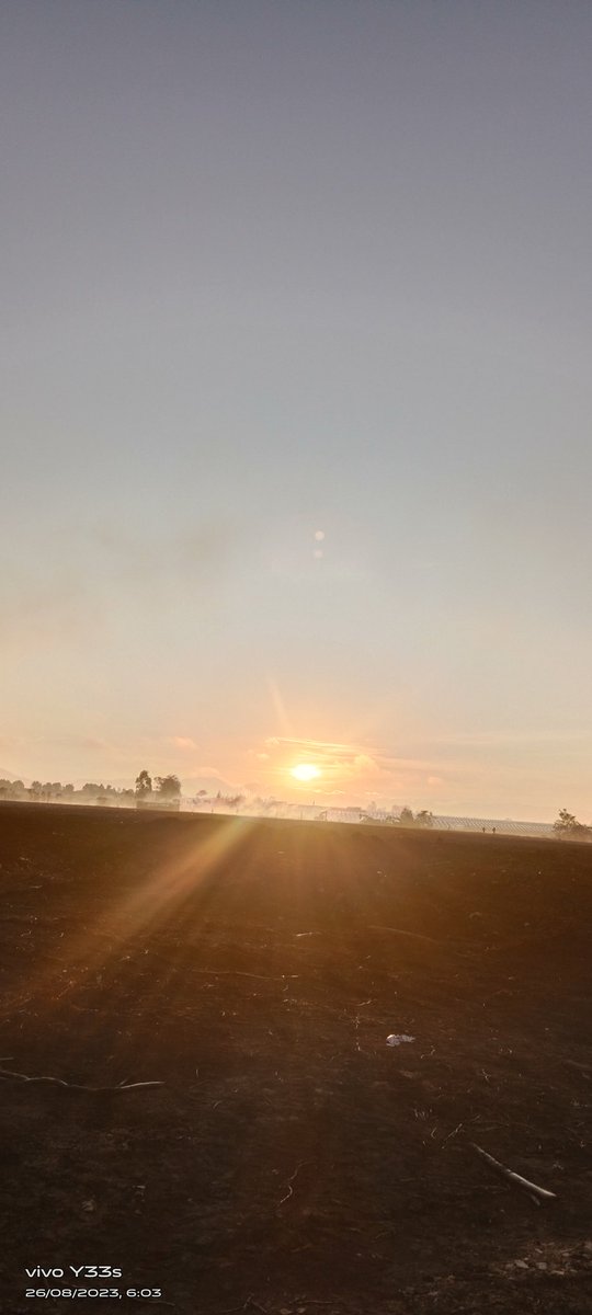 JRodrigud's tweet image. 