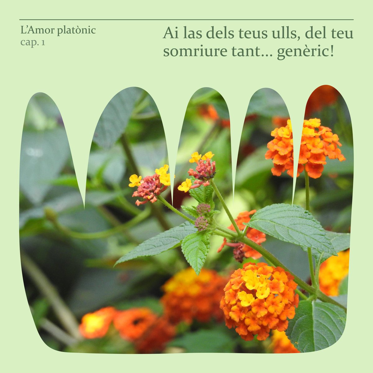 Ai de l'Amor! Quin sentiment més bell i encisador, perfecte per ser el tret de sortida d'aquesta ja vella -i plena d'encís- temporada.

-Filòsofs que volen empalar els seus crítics ☀️
-Plató sent un titella de la Història 🥸
-La novel·la més maca escrita en llengua catalana 🥀