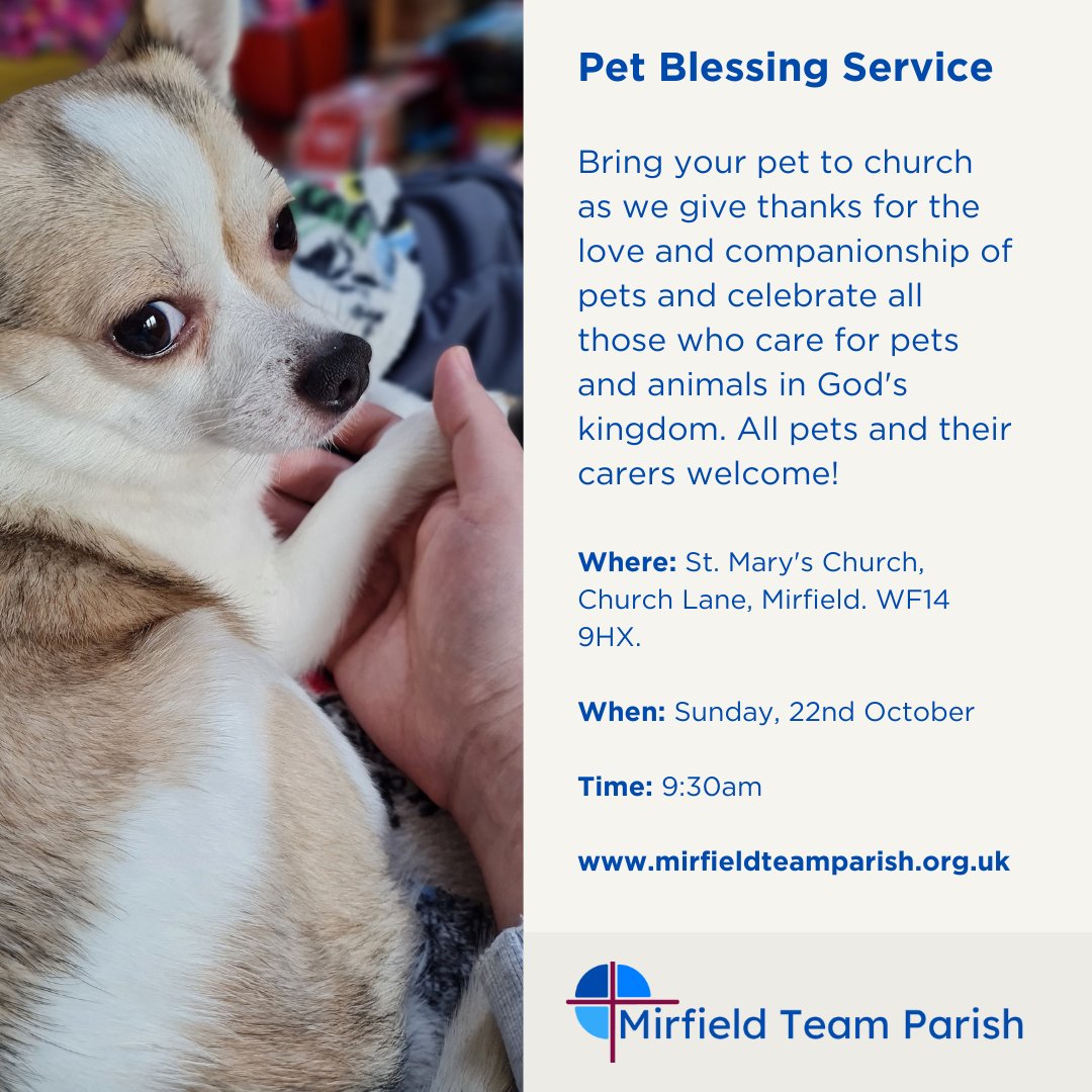 It's International Dog Day! 🐕

We'll be celebrating the companionship of our dogs - and all other pets - at our Pet Blessing Service on Sunday, 22nd October.

All pets (four legs, eight legs, no legs) and well-behaved owners (😉) welcome!

Looking forward to seeing you there!