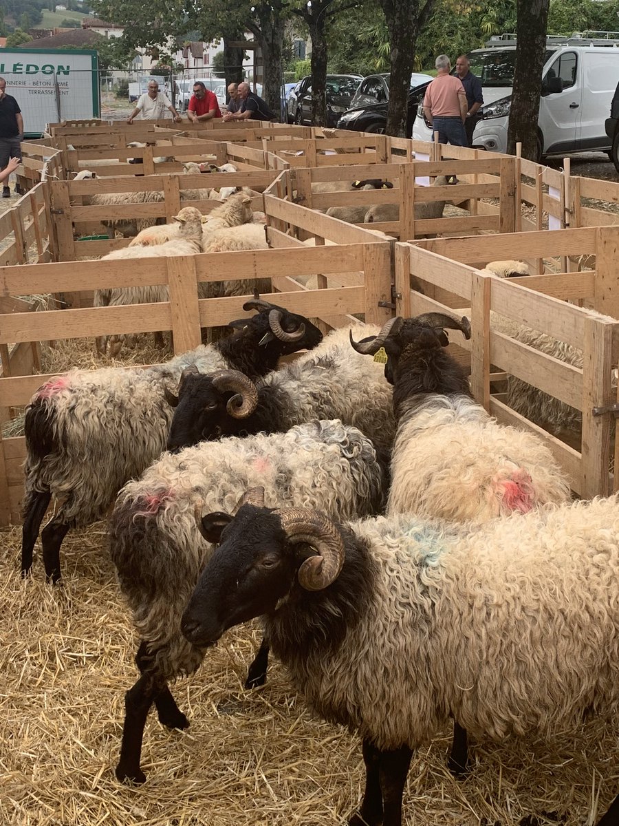 Magnifique affluence populaire pour cette journée départementale de l’élevage à #SaintPalais, Pyrénées-Atlantiques. Bravo à nos éleveurs pour la présentation de leur travail, véritable vitrine de notre territoire.