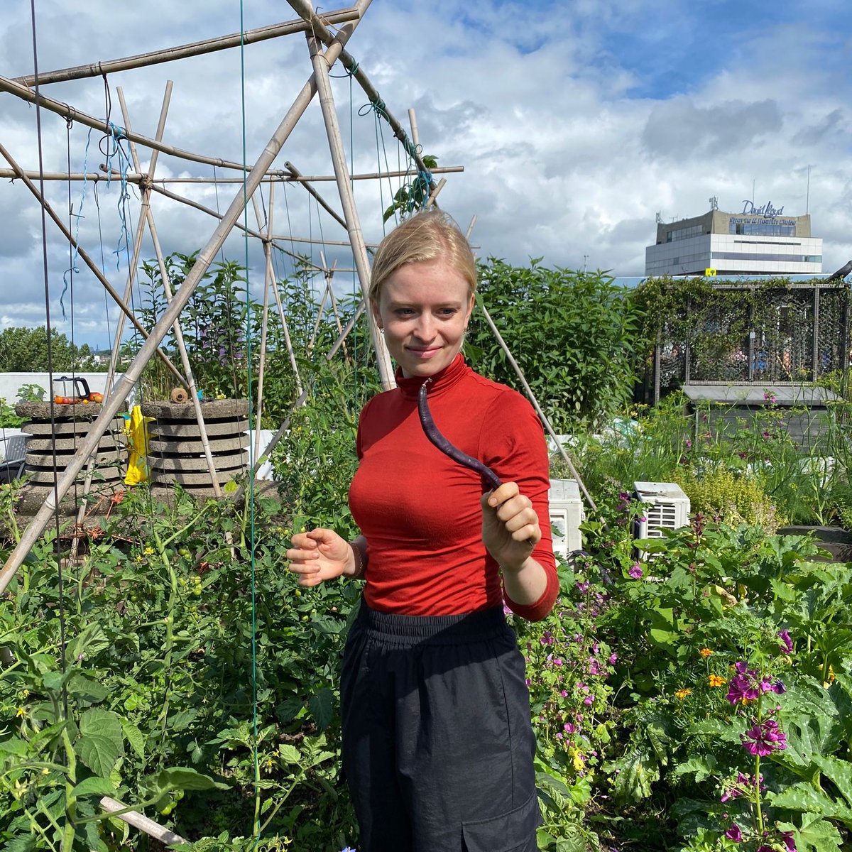 Proud to be a #rooftopfarmer ! On the #DakAkker #rooftopfarm on an officebuilding downtown #Rotterdam 🥕🥒🌶🍅🌱. 📷 Esther Prinsze 🍃.