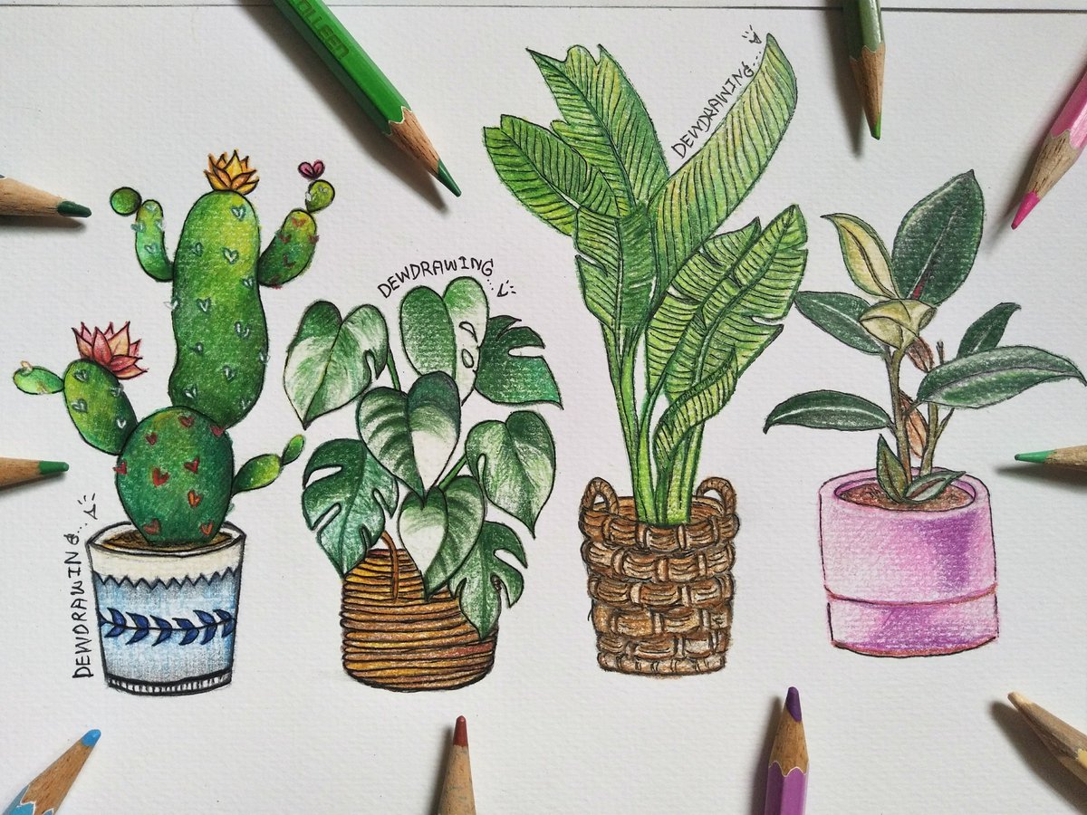 Dewpanja's tweet photo. กลับมาปัดฝุ่นเพจสักหน่อย 🌱 #วาดต้นไม้ #tree #treedrawing #ต้นไม้ #art #pencilcolors #drawing #draw #picture #artist #sketch #sketchbook #paper #galleryart #begginerartist #pencil #artsy #instaart #beautiful #instagood #gallery #arttoday #drawingoftheday  #mygallery #artoftheday https://t.co/dmXX0m1nV0