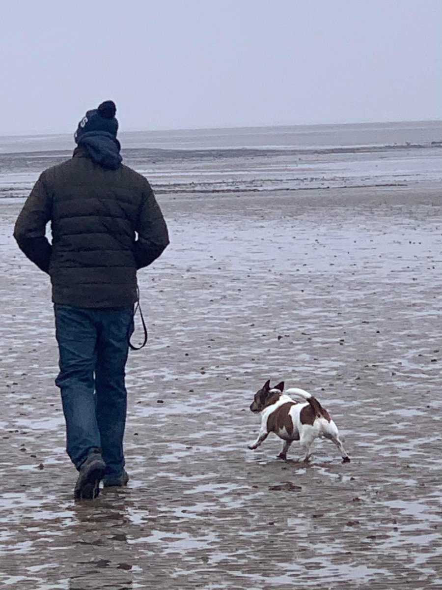 leg_end81's tweet photo. ‘He’ll never be a lapdog’
‘Untrainable. Don’t ever let him off the lead and always have a muzzle on him’
Happy International Dog day kid. #RescueDog #TheyKnowNothing https://t.co/1RYj74BvJs