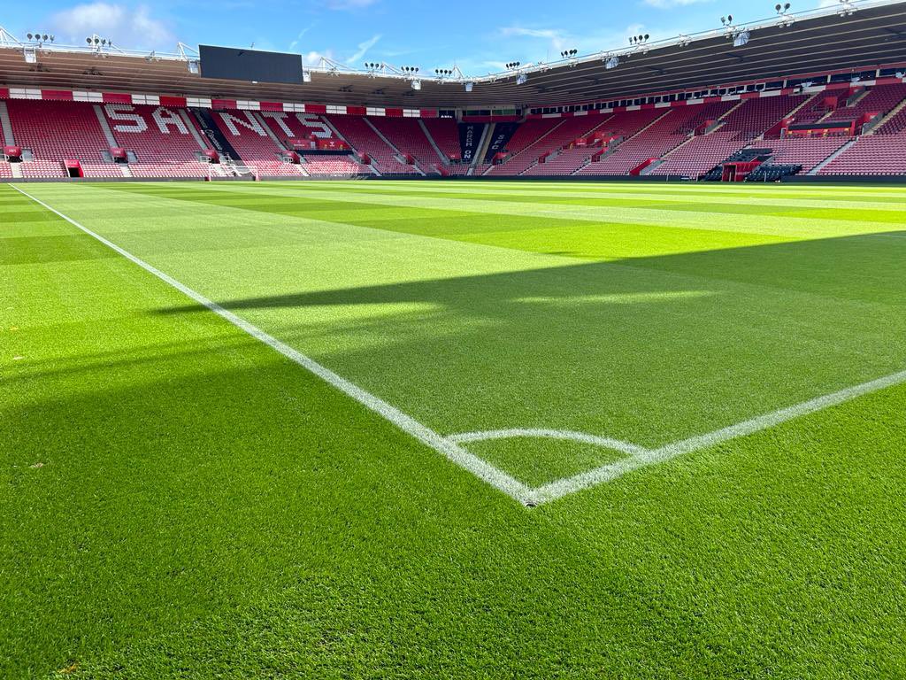 steve new tweet media