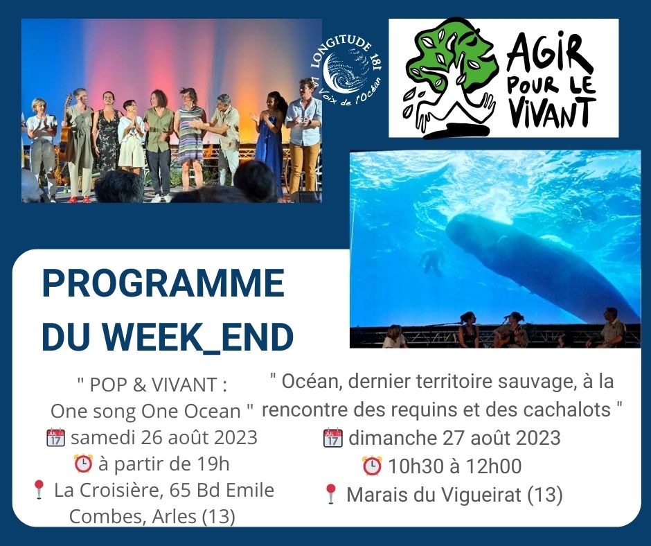 Longitude181 tweet media