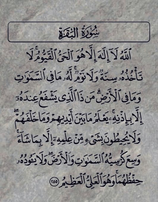 Reda ALi tweet media