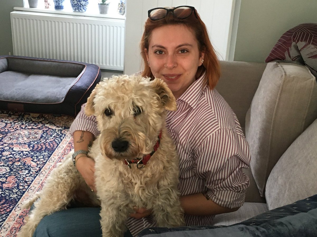 IanMerrell1's tweet image. Barney on International Dog day …