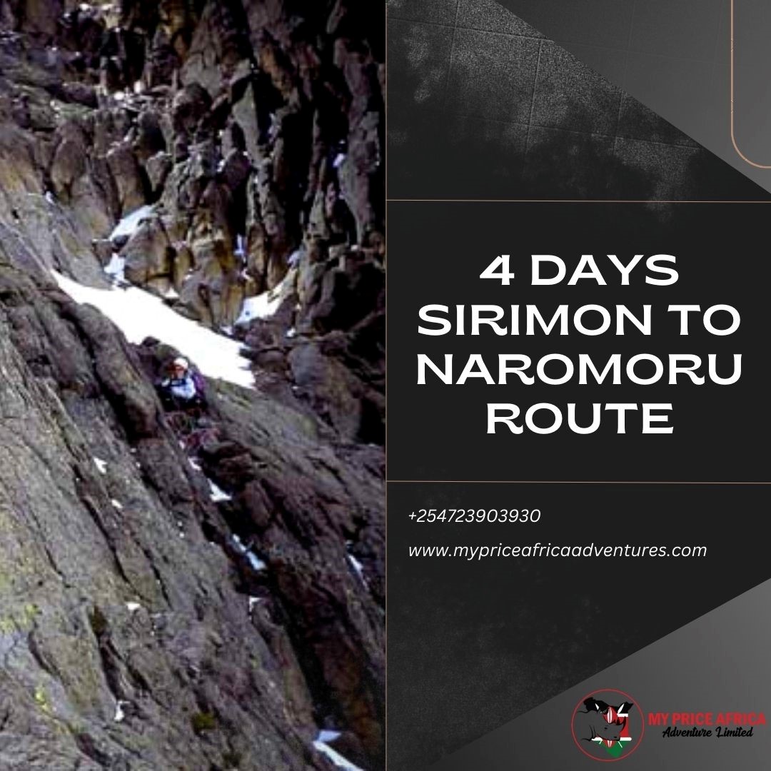MySafaris's tweet photo. 4 Days Sirimon To Naromoru Route

https://t.co/ToZTMEjy2G https://t.co/lr2DP1p6f0