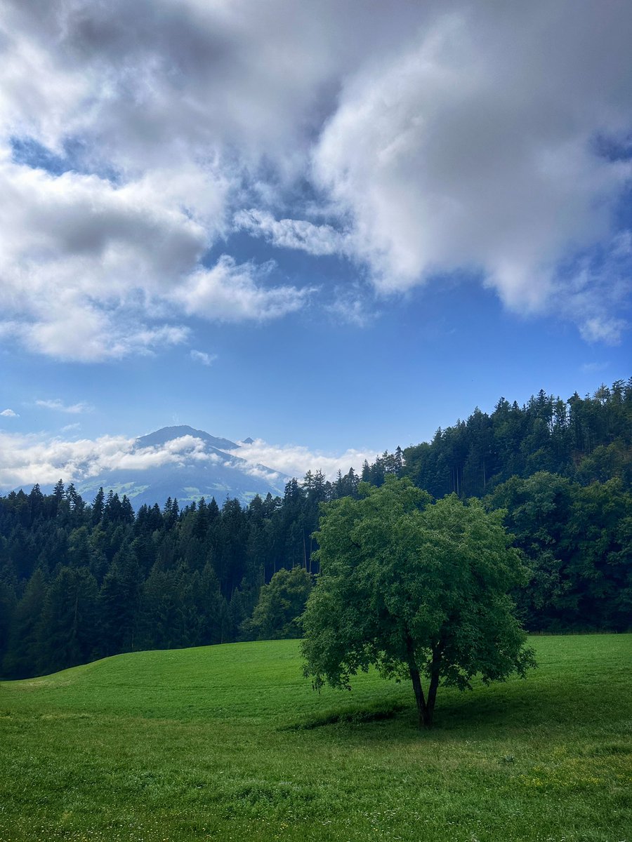 HaraldHolzhamm1's tweet photo. ..farbentaltrail..#farbental 
 👟 #timetoplay #shotoniphone #keeponrunning #visionofpictures #run #runner #running #toptags #outdoor #furtherfasterforever #trailrunning #trailrun #trailrunner #runnersworld #seenonmyrun #trailandultra https://t.co/dmVVOb5wyt