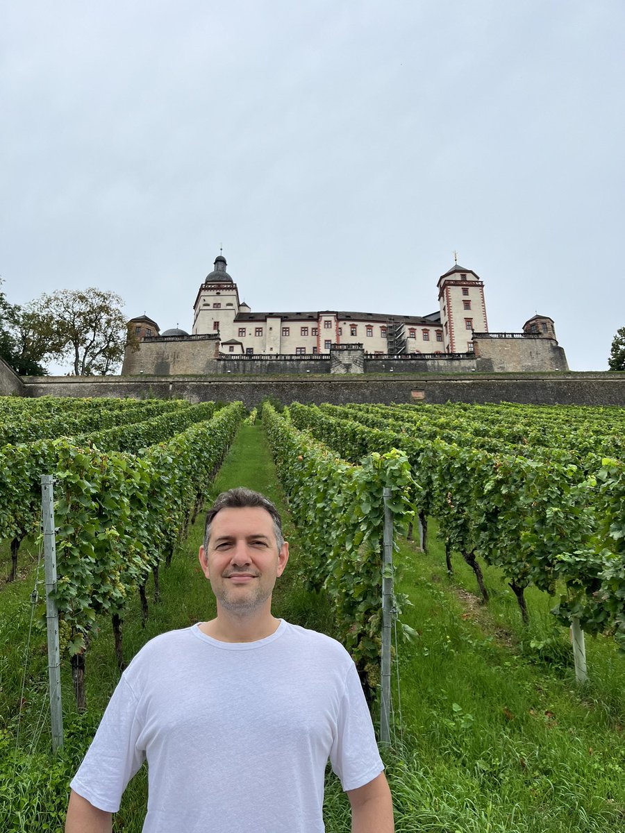 timmilford's tweet image. There are some STEEP vineyards in Würzburg!!
