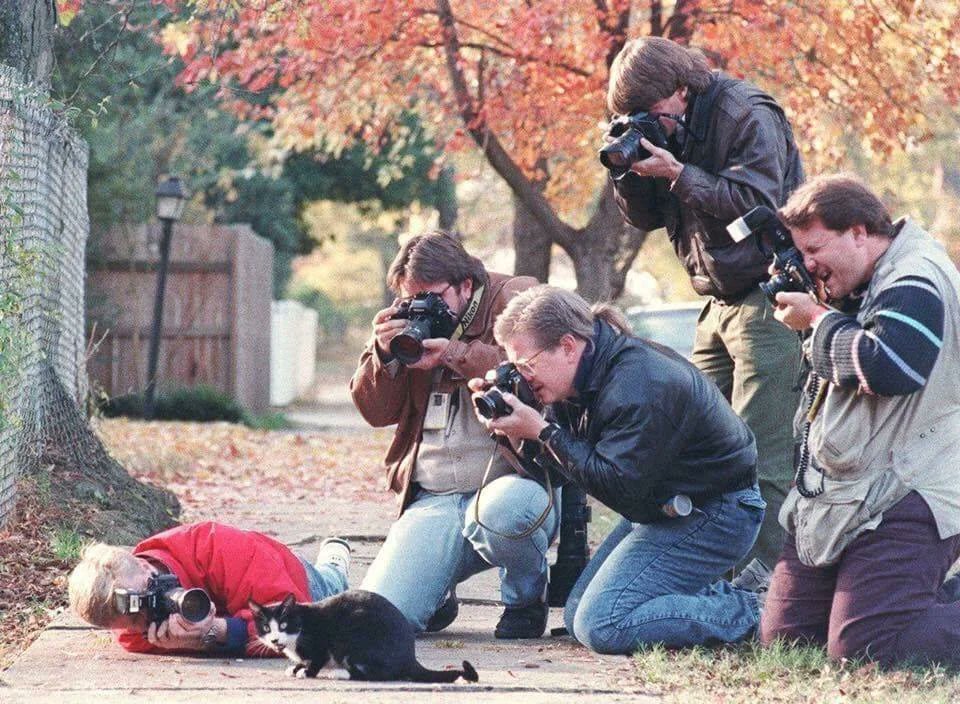 Paparazzi surrounding Socks, Bill Clinton's cat, circa 1992