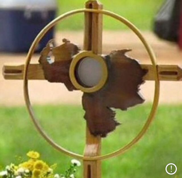 ElsaBarret's tweet photo. Bendecid la Hostia, glorificad la Hostia, mostradla a las sociedades y a los pueblos que perecen, y Ella sanará a los heridos, como la misteriosa serpiente de Moisés levantada en alto en el campamento de Israel.  Mons. Juan B. Castro (Edit. 15-5-1894). https://t.co/uOnzZzvfy9
