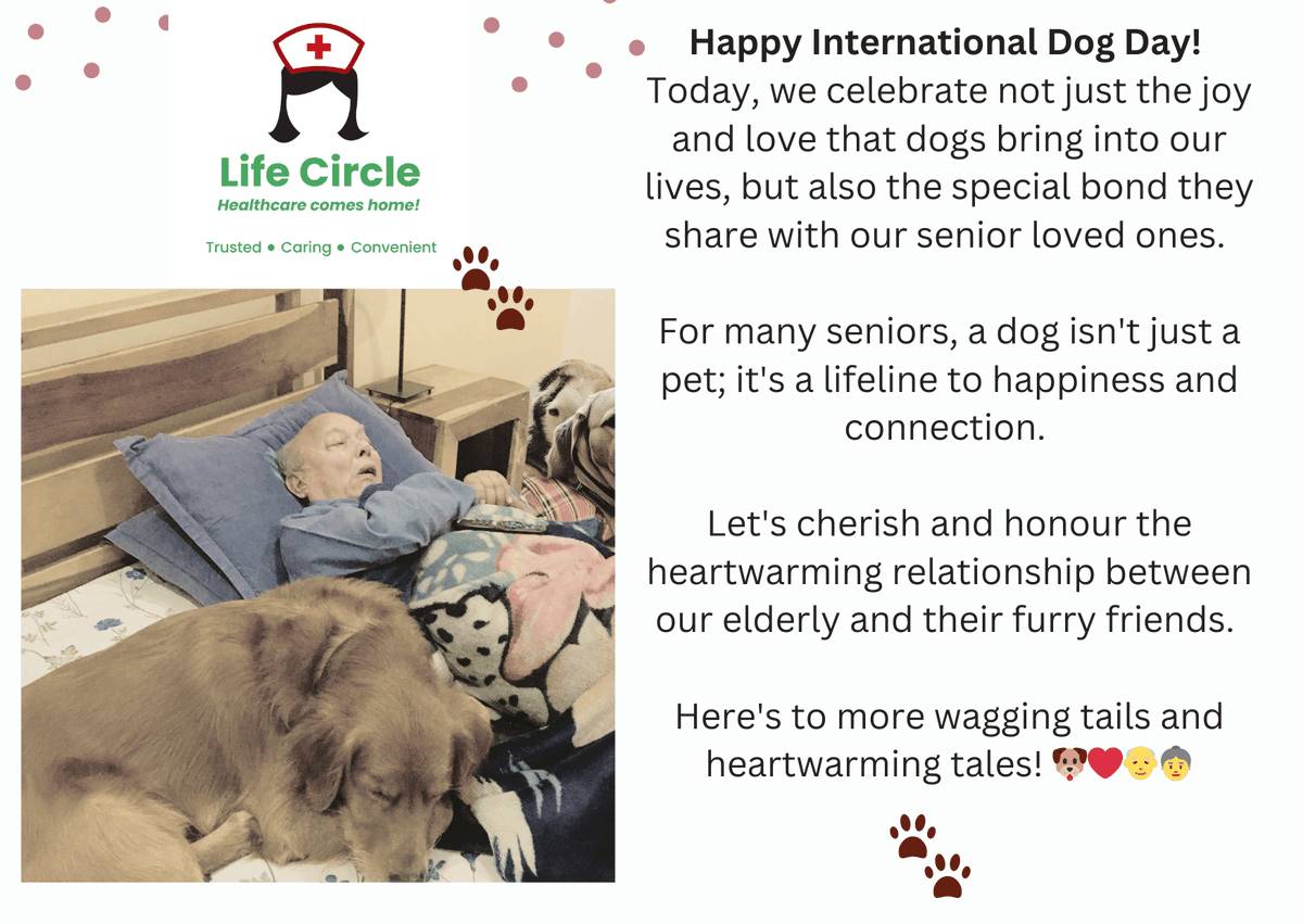 LifeCircleSrSer's tweet photo. https://t.co/ZUs84A5qg5