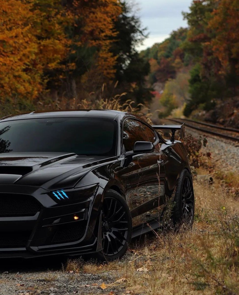 Shelby GT500 ♠️