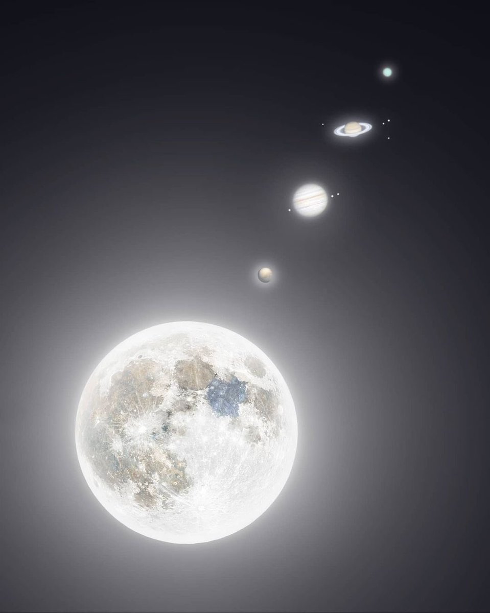 İp gibi dizilip bize bakıyorlar.  😀