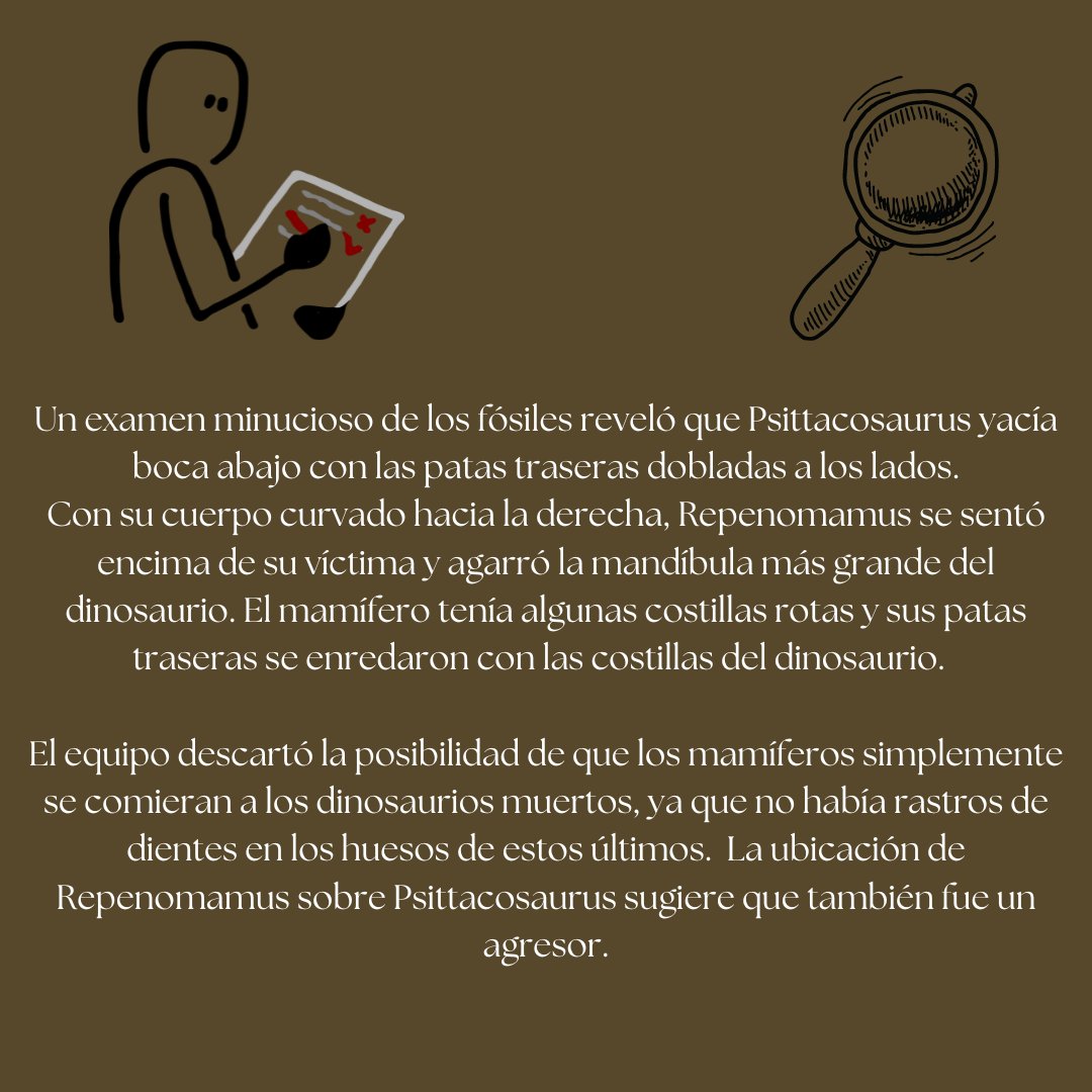 OODinoLab's tweet photo. https://t.co/HVVhB3m4mn