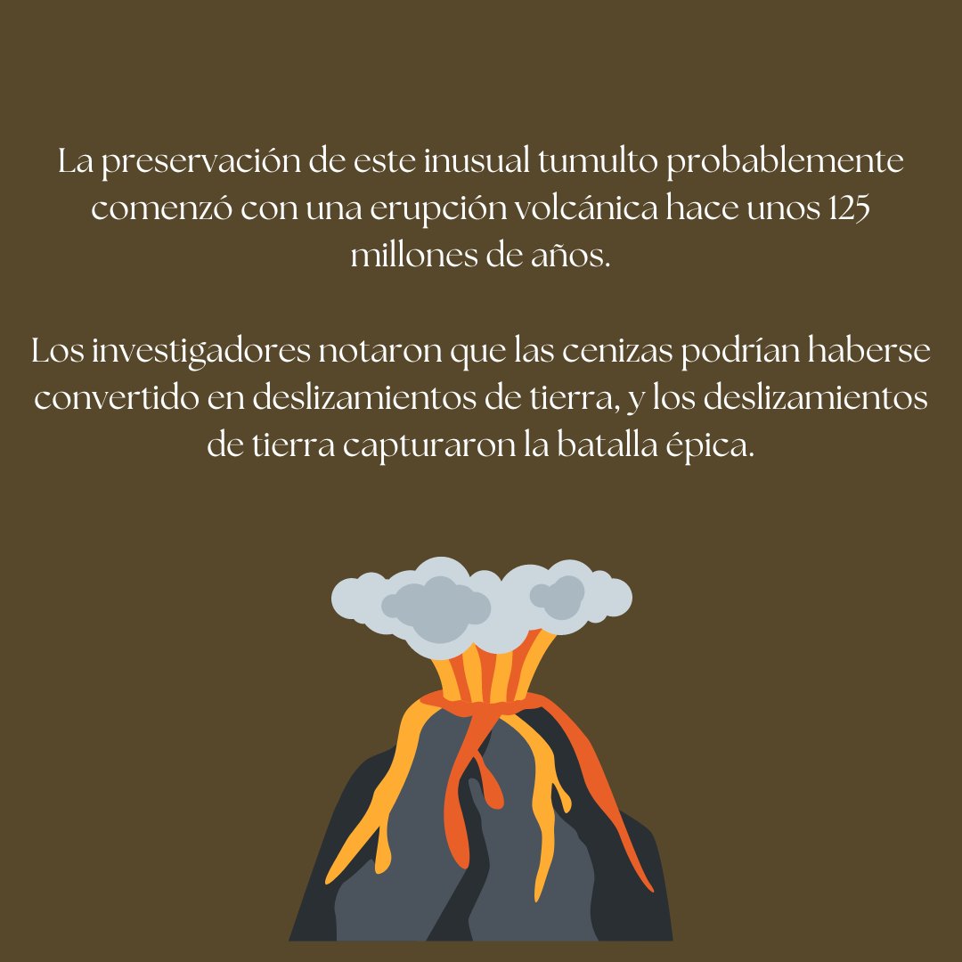 OODinoLab's tweet photo. https://t.co/vhfLF7JU3t