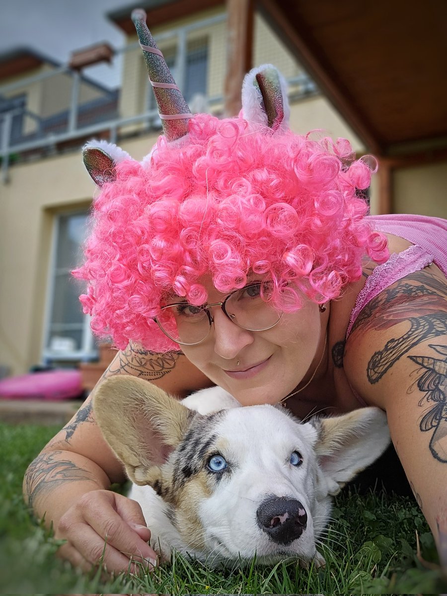 MorriganGoddess's tweet photo. Moje přípravy na #NeonRun ho nechávají zcela chladným 🦄❤️🤣
#MauiTheCorg #DoubleTroubleCorgi #TwiLišky https://t.co/E1HY24Z2wf