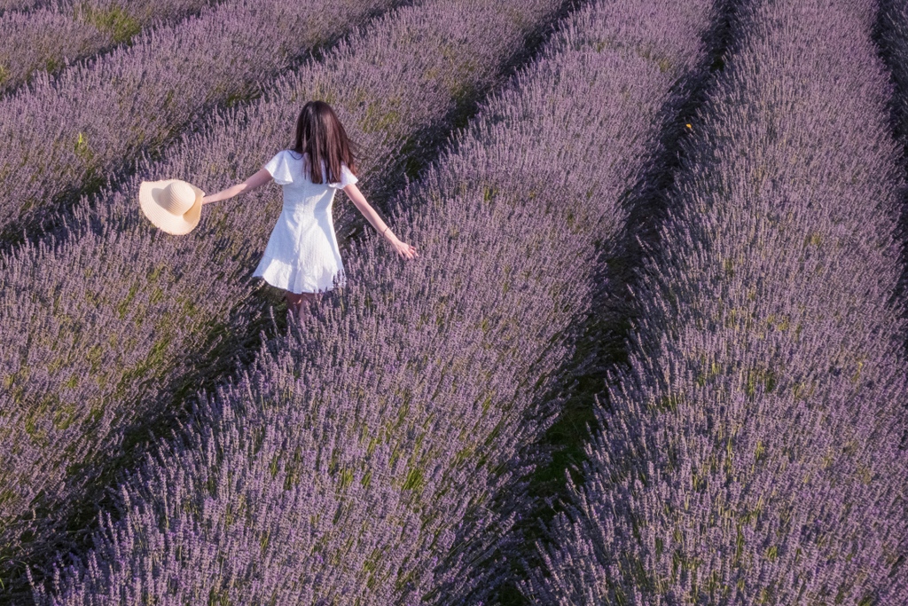 dotART_it's tweet photo. Mythography Pic of the Day

"Lavanda"
by @ Justinawind https://t.co/6FNwLeTmQ5