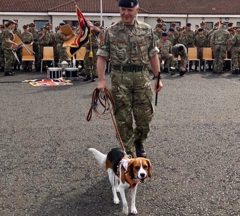 hrfca's tweet image. Happy #InternationalDogDay! How #cute are our Administrative Officer&apos;s #dogs Piper and Indy as well as our Chief Executive&apos;s labrador Hera? We also loved meeting @AandDBnACF&apos;s Commandant Colonel Scott Dunn&apos;s beagle-cross Milly last year: ow.ly/sG3h50PvLQI. 🐶🐾🐕