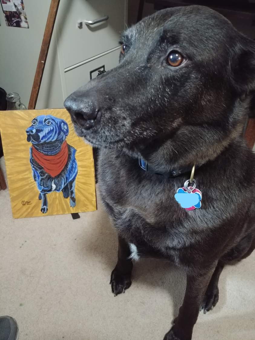 MattStarrFineA1's tweet photo. King Louie and Prince Rupert wants to remind you that today is National Dog Day!
#NationalDogDay #dog #doggy #cute #dogs #dogoftheday #ilovemydog #doglover #pup #puppylove #squirrelchaser #cutedogs #rescuedog
#blacklab #Labrador #KingLouie
#Pomeranian #cocker #princerupert https://t.co/cIjzuOGsBg