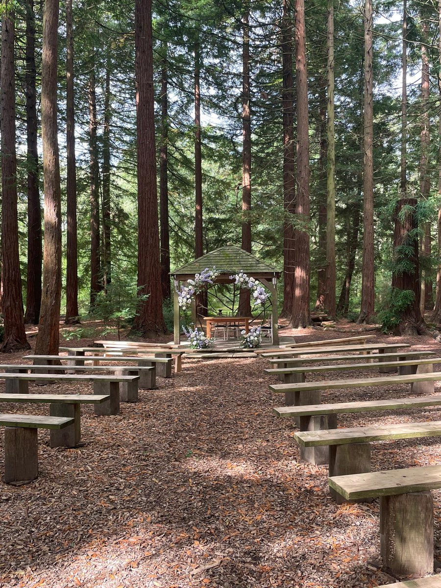 sfmcatering's tweet photo. You want authentic wood fired pizzas in the middle of a forest ?...no problem ! We can do that with our fleet of Pizza Landrovers.

Get in touch for your catering needs (wherever and whatever they are)
https://t.co/NM1nLcMAyL https://t.co/rl7PfyESCC
