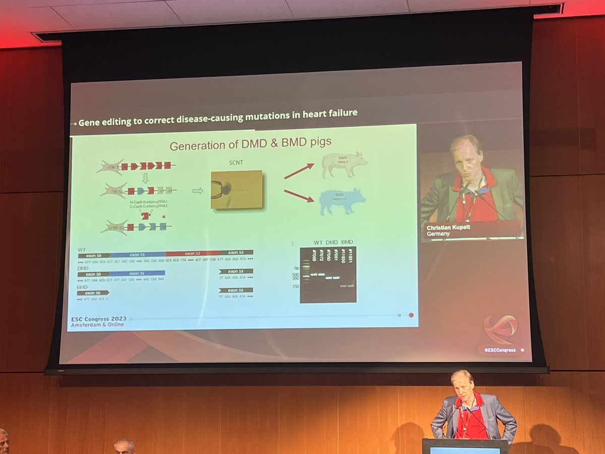 BondueAntoine's tweet photo. Very exciting data at #esc #session on genes and gene editing in heart failure! A quick but very efficient look into the (close) future! 🙏#escgenomics @CSHeartResearch @AndreasZeiher @SilviaPriori1 @laurazelarayan2 @GiaccaMauro https://t.co/UrKqyaliHm