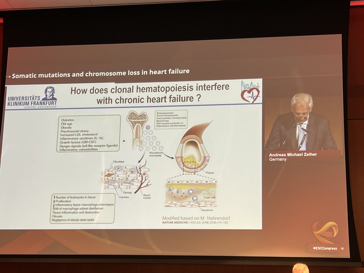Very exciting data at #esc #session on genes and gene editing in heart failure! A quick but very efficient look into the (close) future! 🙏#escgenomics @CSHeartResearch <a href="/AndreasZeiher/">Andreas Zeiher</a> <a href="/SilviaPriori1/">Silvia Priori</a> @laurazelarayan2 <a href="/GiaccaMauro/">Mauro Giacca</a>