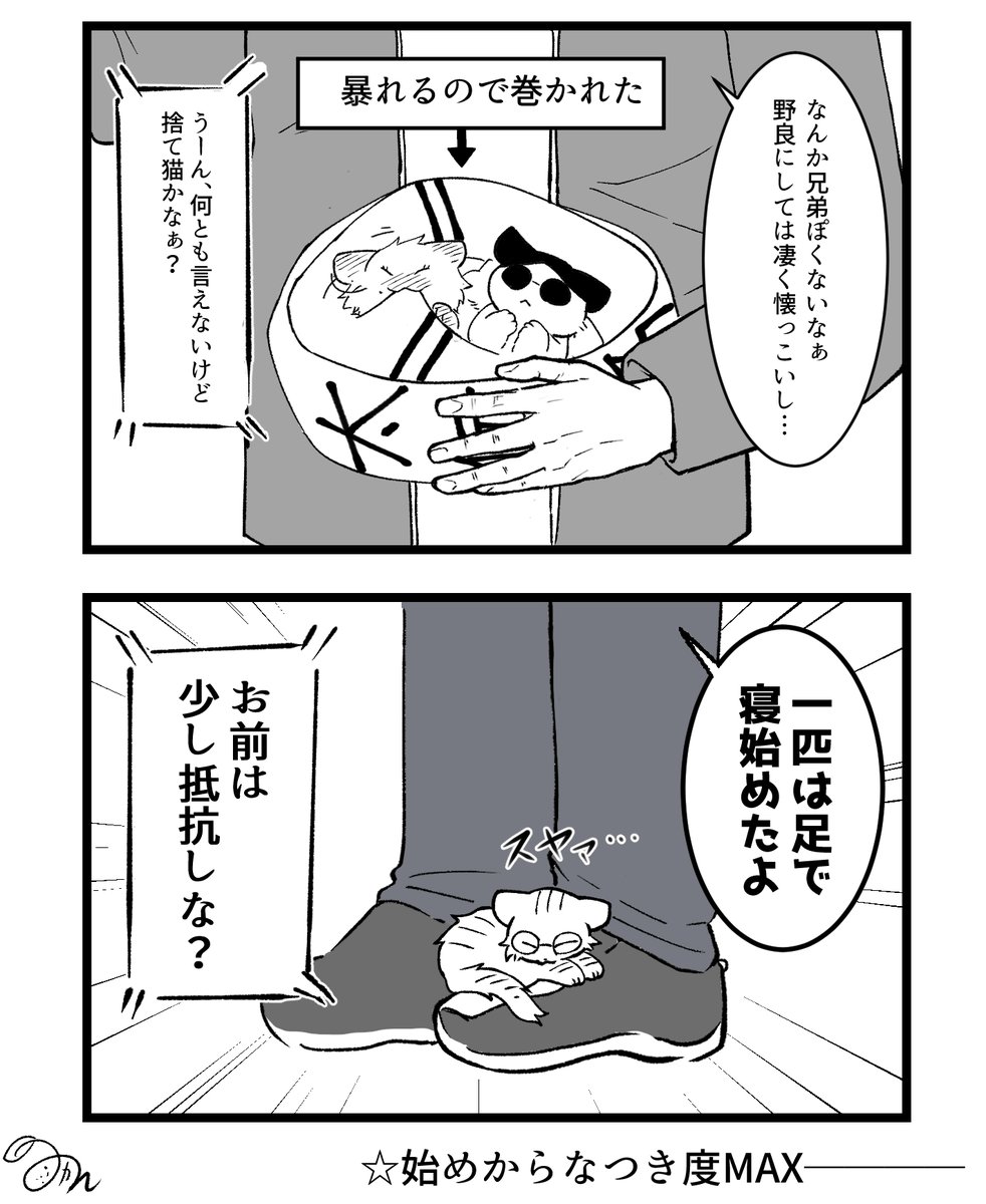 FunkyCat出会い編その②
このシリーズで小さい猫をたくさん描けると思ったのに、結果的に飼い主ばっか描いてる← 