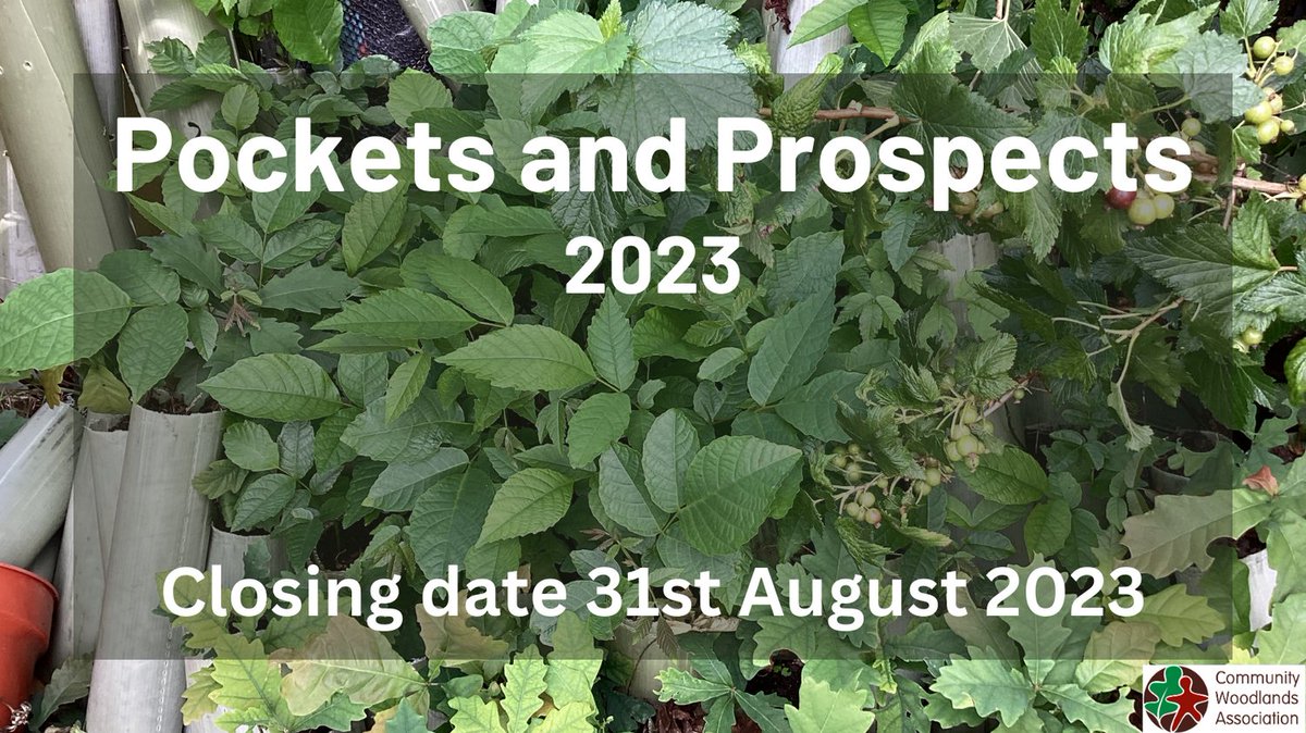 CommunityWoods's tweet photo. Final call for applications from our group members! Pockets and Prospects is a small grant fund (funded through the Scottish Community Alliance) for up to £1000. Closing date for applications is 31.08.23. Visit our website for more details https://t.co/SK3nDg1E9n . https://t.co/ySlCQGObxM