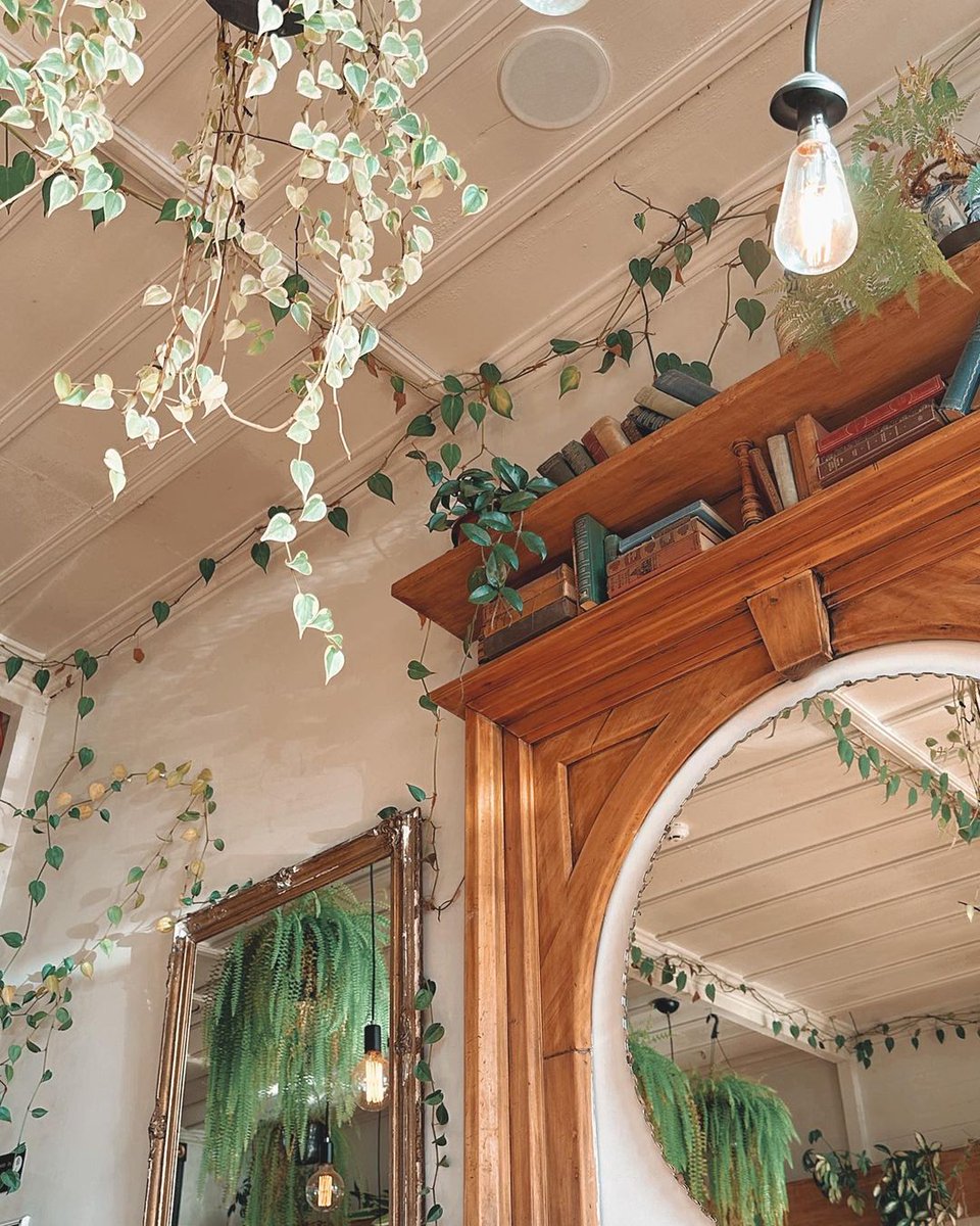 Noragreenw's tweet image. 