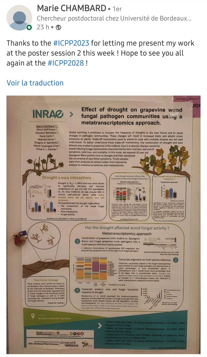 À #ICPP2023 , il y avait aussi Robin Raveau et Marie Chambard, en post doctorat à SAVE ! www6.bordeaux-aquitaine.inrae.fr/sante-agroecol…