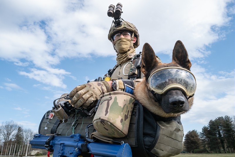 EtatMajorFR's tweet photo. #JourneeMondialeDuChien | Quoi de mieux en cette journée que de mettre à l'honneur nos amis 🐾 ! Toujours aux côtés de nos soldats, marins et aviateurs engagés partout et en tout temps en opération. https://t.co/jJXHYp3xUZ