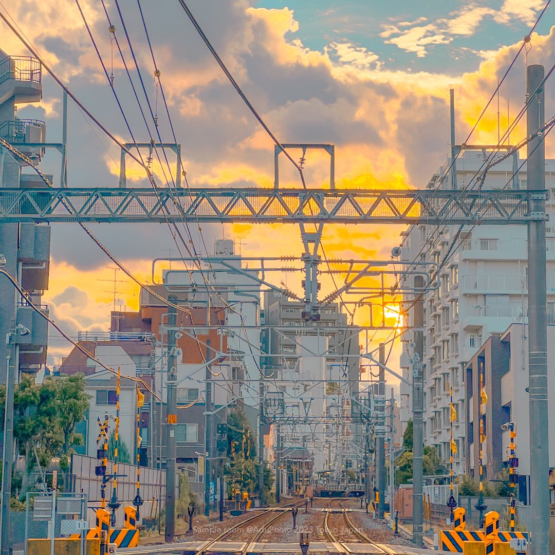 AduPhoto_'s tweet photo. 東京的夏天即將結束 https://t.co/Uf9nLlh2IM