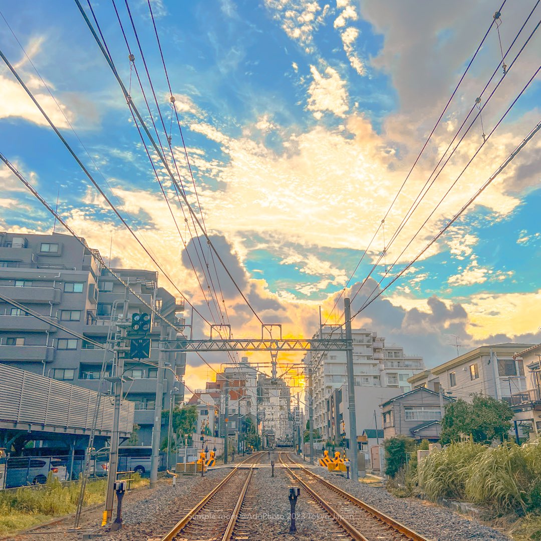 AduPhoto_'s tweet photo. 東京的夏天即將結束 https://t.co/Uf9nLlh2IM