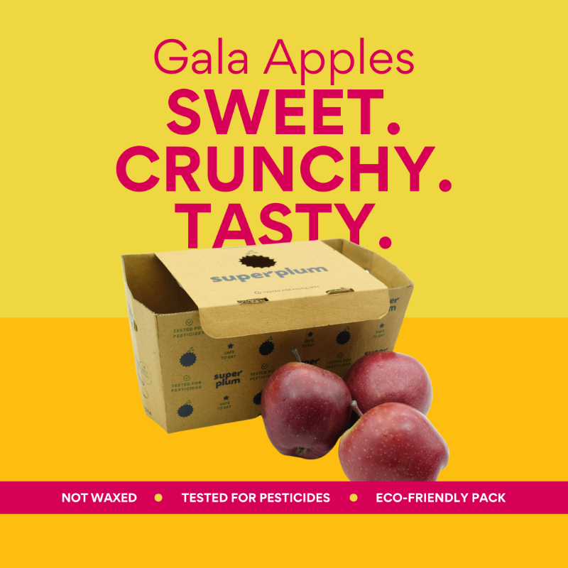 thisissuperplum's tweet photo. From the heart of the Himalayas to your plate: Introducing Gala Apples! 

Discover these crisp and sweetness mountain delights.

#FreshApples #GalaApples #SuperSafeSuperFresh #FarmFresh