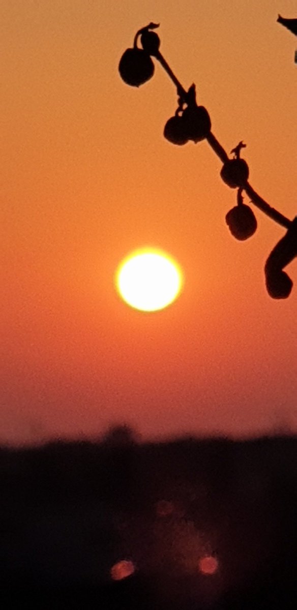 GianfrancoCat's tweet image. Non si è mai troppo vecchi per fissare un nuovo obiettivo o per sognare un nuovo sogno.
(C.S. Lewis)

#sogno #penso