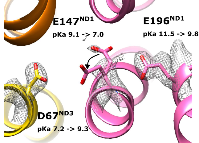 vivekvivsharma's tweet photo. Check our new article - Role of protonation states in stability of molecular dynamics simulations of high-resolution membrane protein structures
https://t.co/tvyYgMX5Ck
Main points below. https://t.co/ZJNUj2xBi4