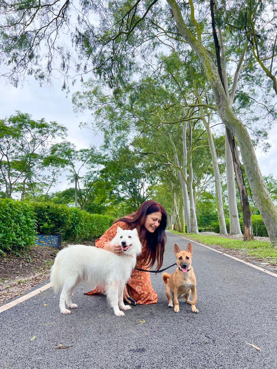 rufusgoodboy's tweet photo. My mom, lil sister and I talking a walk on this beautiful day!! I love it!!  
#dogsoftwitter #goodday #pets https://t.co/zMpfZWlQh0