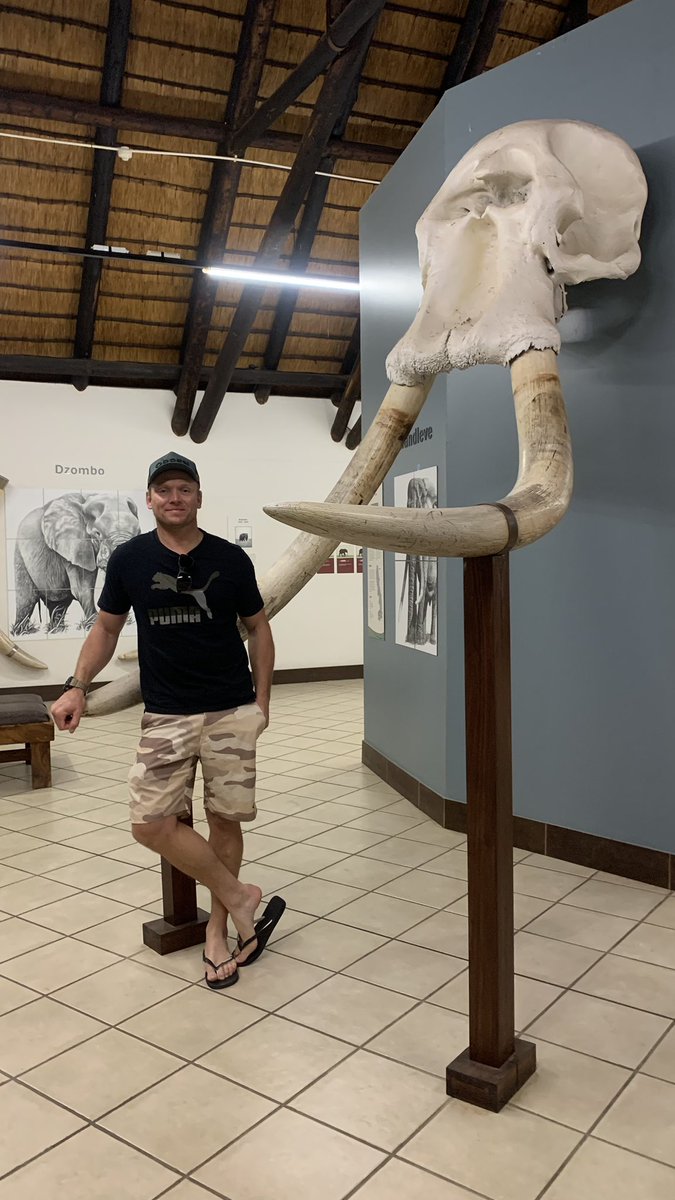 Dear @SANParksKNP “REVIEW” I’ve spent 2 days in the park, stayed at Letaba rest camp, clean and great, ate at tindlovu, food was amazing, they even hosted us at 20:30 to watch the @Springboks Ablutions were clean and all working. Nostalgic visit, felt like my childhood.