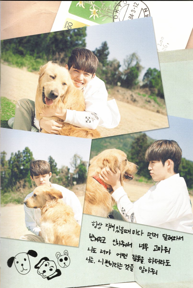 sheepofdeneb's tweet photo. [Photo Scan] 'Letters From Seventeen' All Selected Notes — Seventeen 'Love &amp; Letter' First Letter Version

#세븐틴 #SEVENTEEN #LoveAndLetter #FirstLetter #조슈아 #준 #에스쿱스 #JOSHUA #JUN #SCOUPS https://t.co/UOjIwet79Z