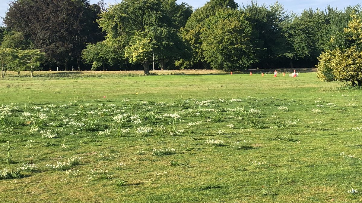 FulbournHosppr's tweet photo. Set up has just started at Fulbourn Hospital parkrun. The klaxons will sound at 9.00. Hope to see you there. https://t.co/V5eAQNVWLk