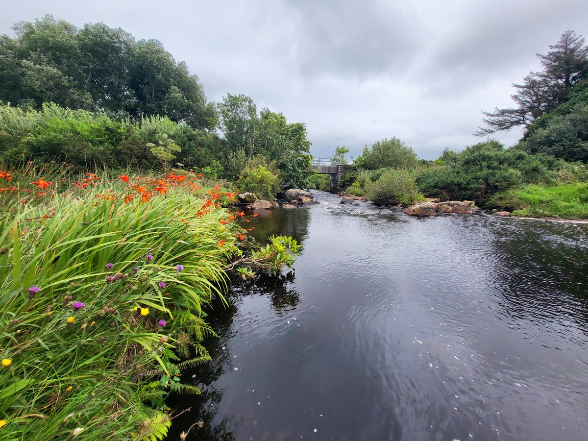 Walking along the western section of The Muckish Railway Trail near Falcarragh in North Donegal.
inishview.com/activity/mucki…

#Falcarragh #creeslough #dunfanaghy #donegal #wildatlanticway #LoveDonegal #KeepDiscovering #visitdonegal #bestofnorthwest #LoveThisPlace #visitireland