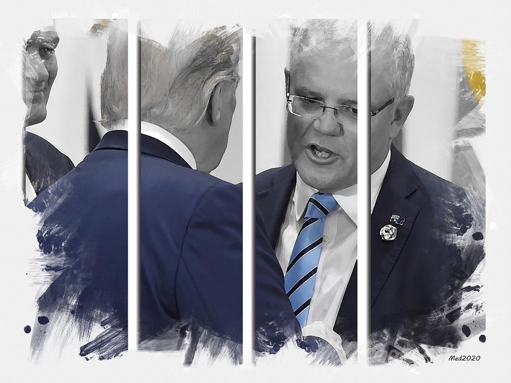 Medicayy's tweet photo. @SarkySage This was the one I prepared earlier on in 2020.
#auspol #uspoli #Trump #SCMO #Cook https://t.co/Ujts8y6AvO