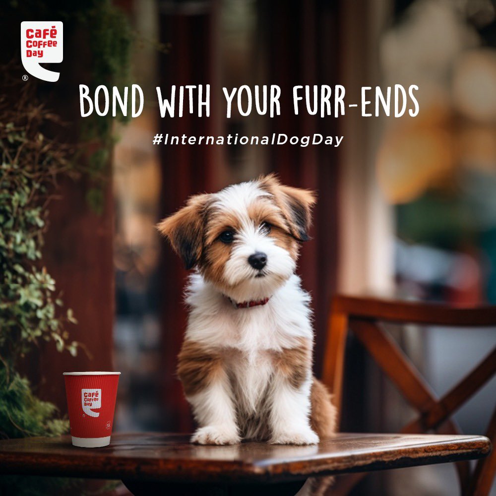 Celebrate this #InternationalDogDay by spending quality time with your special fur buddies at your nearest pet-friendly CCD. #dogs #pets #petfriendly #petfriendlycafe #dogsdayout #cafe #cafecoffeeday