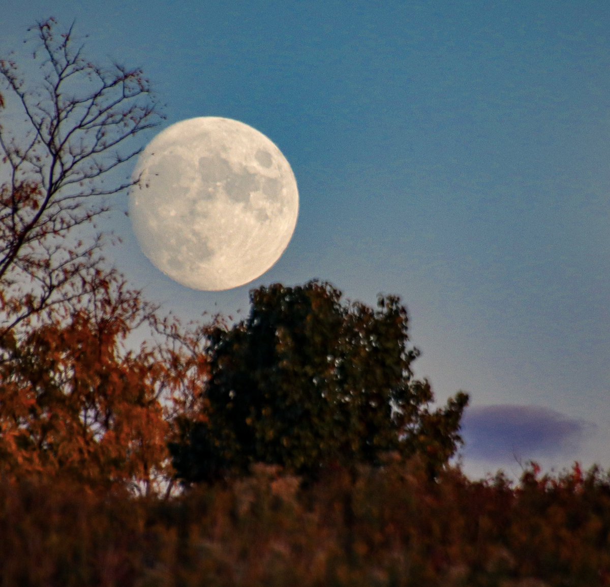 To crop or not to crop?

1st (left, not cropped)
2nd (right, cropped)